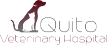Quito Veterinary Hospital